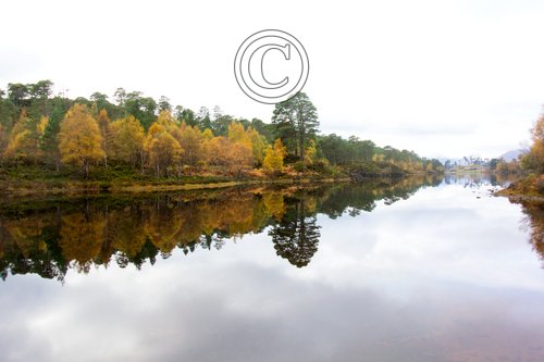Glen Affric Scotland DM2119